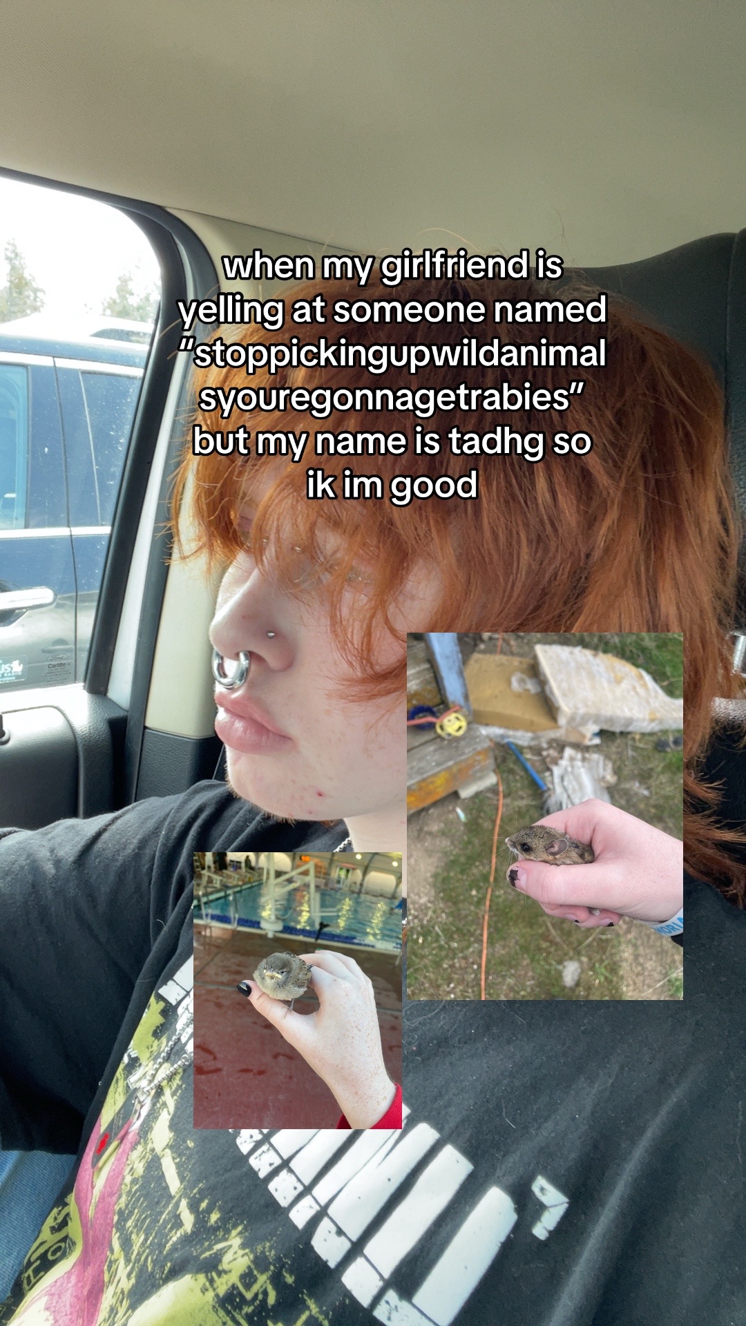 @tadhg 📼 🍖👁️🌀