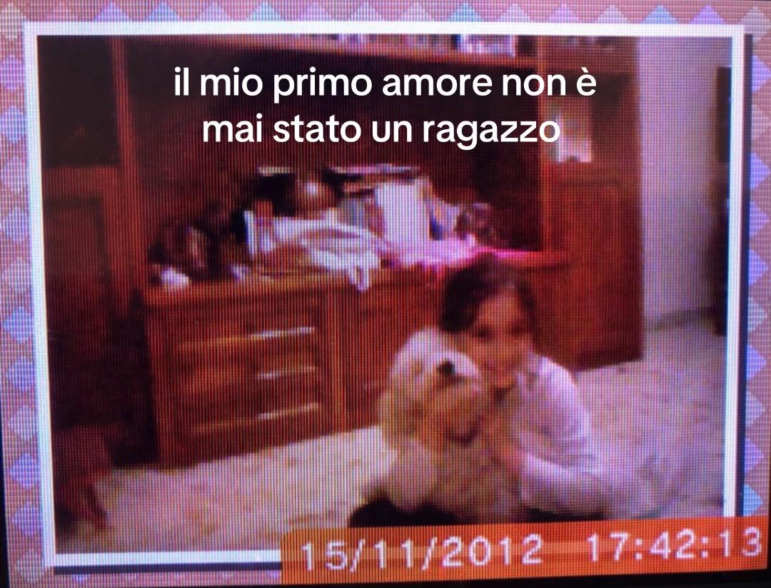 @elii