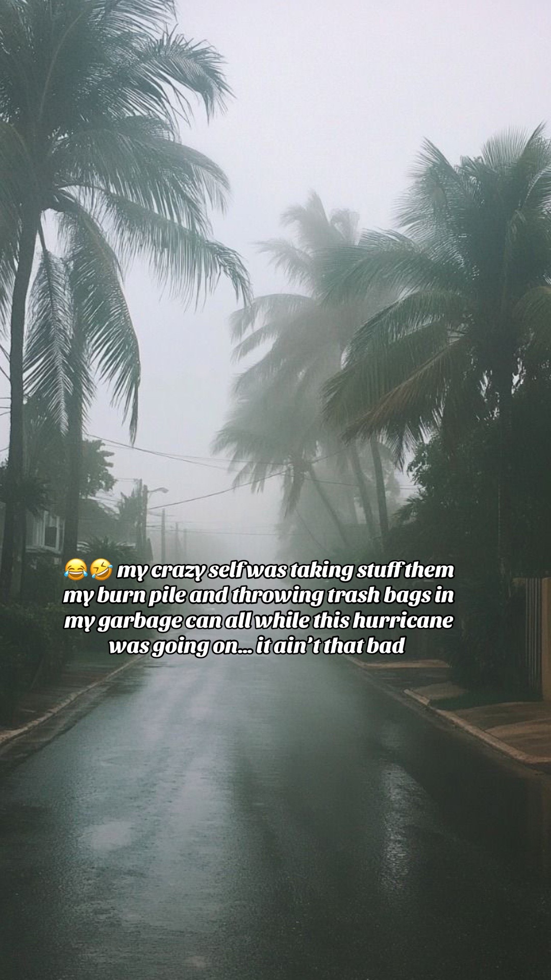 @🖤🌧️☀️🐦⬛Belle🐦⬛☀️🌧️♟️🪖
