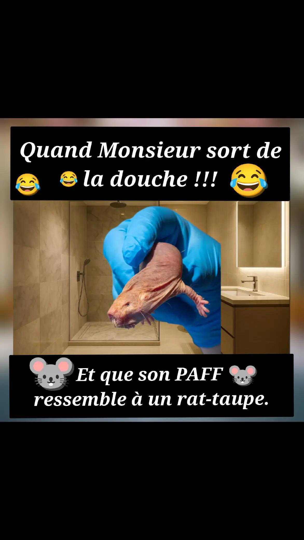 @Humour de wilou
