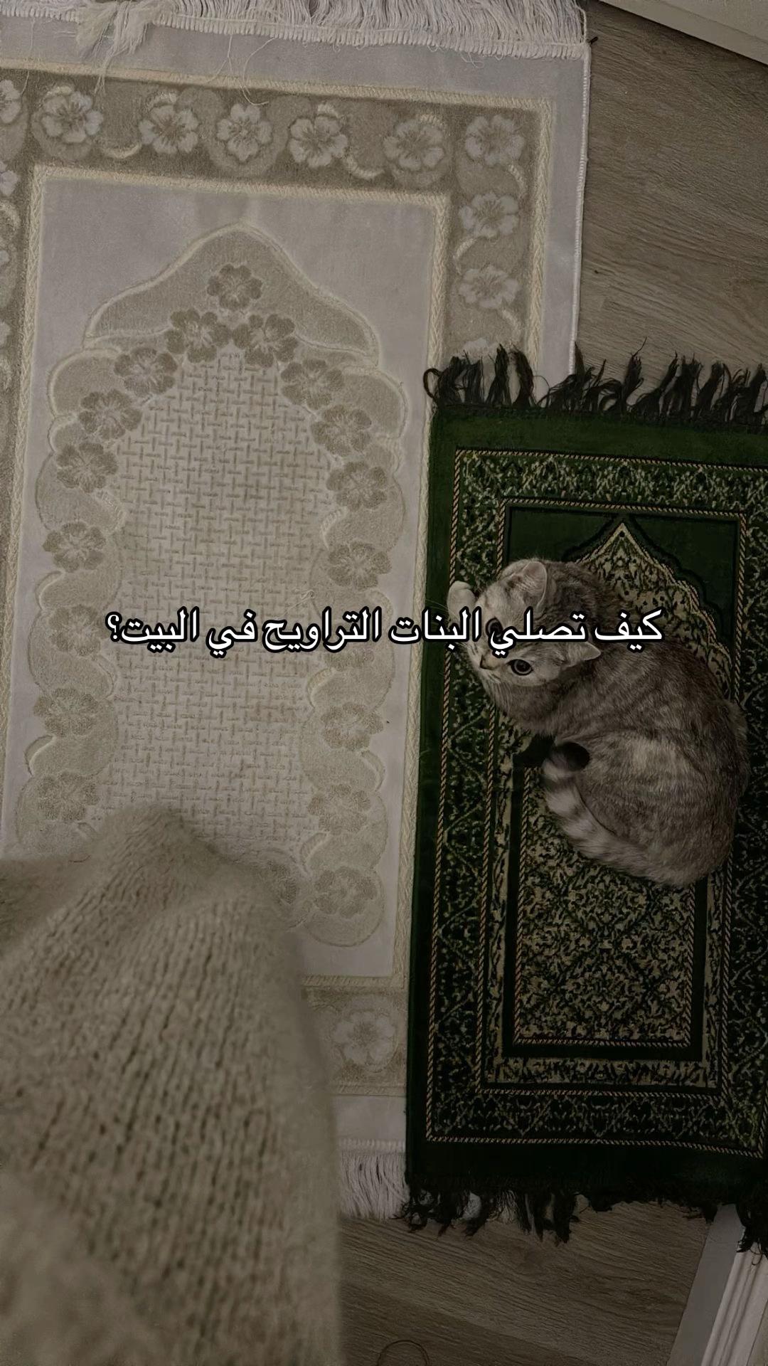 @ســيــلان|١٤٤٦🤍