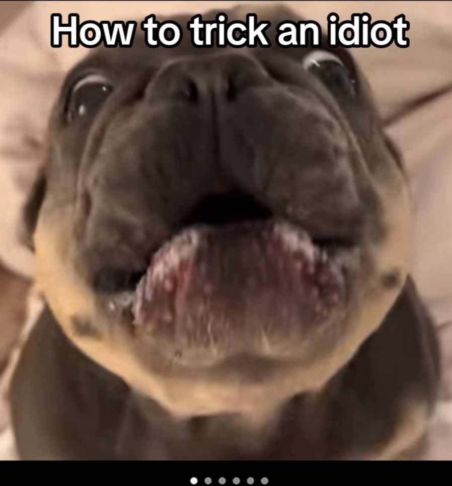 @1PTrooper