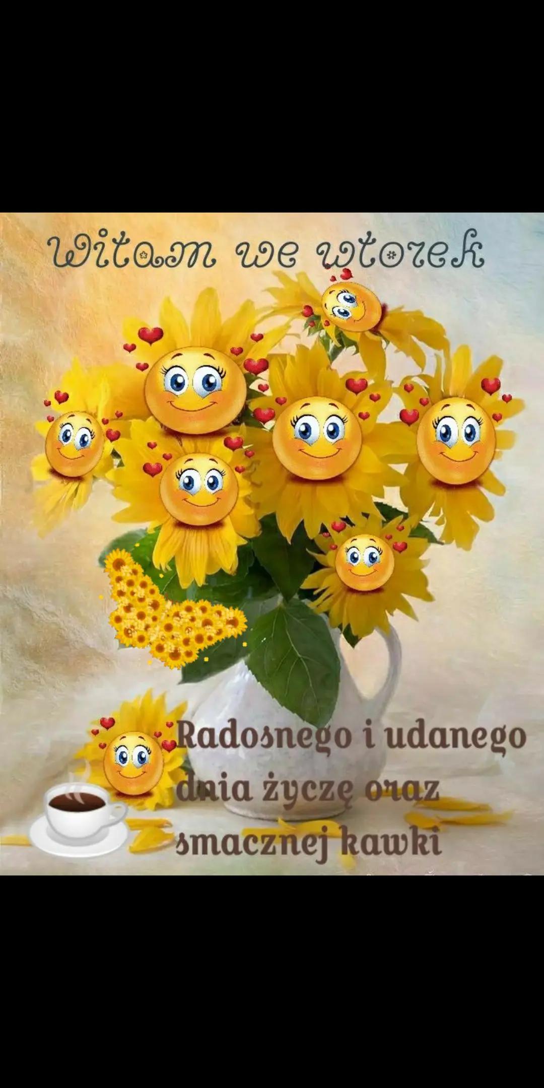 @mariolanu0