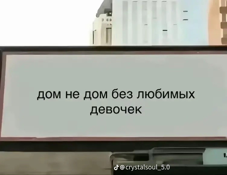 @🐈&zwj;⬛