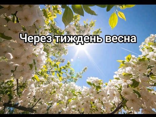 @Nast.wx🌻☃️