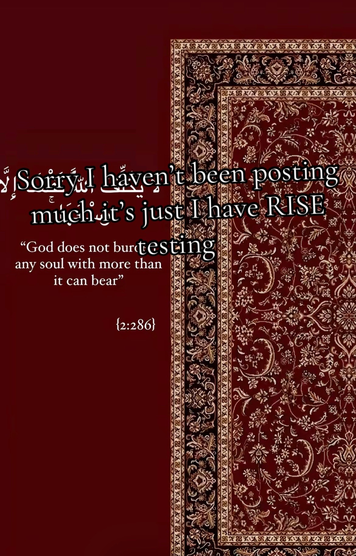 @Muslimah girl