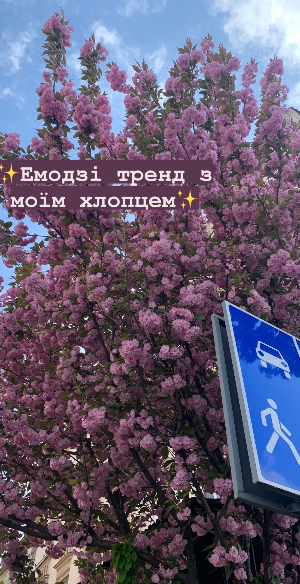 @한국 방문을 꿈꾸던 소녀