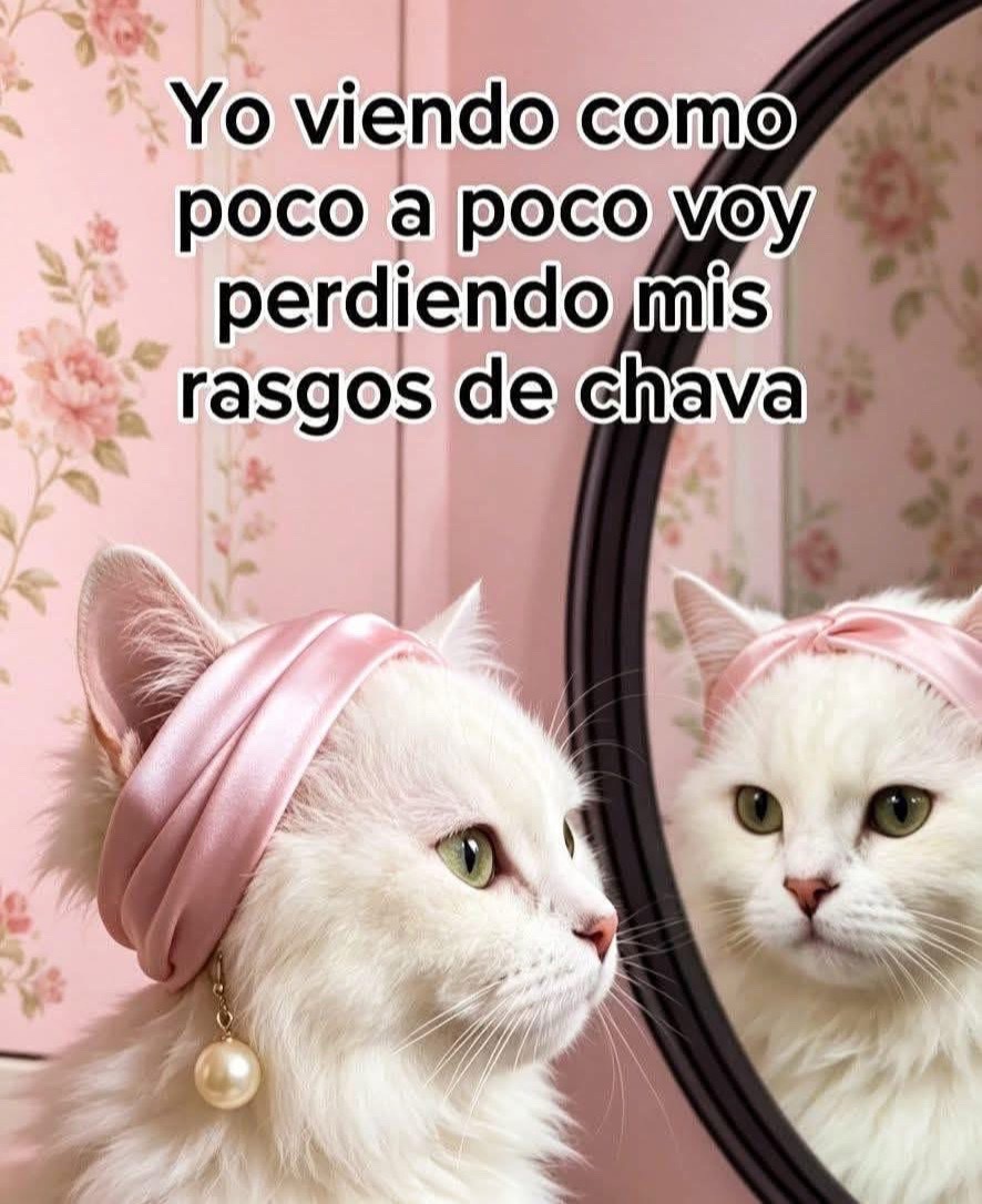@Morelia