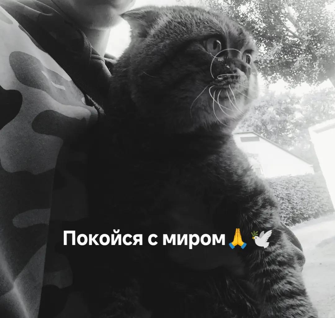 @Alebot_bip