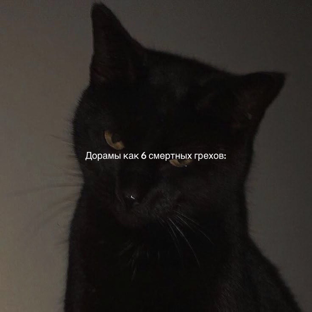 @Koddramas.)