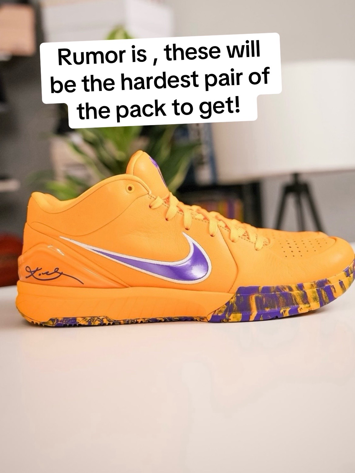 @MindOfMamba