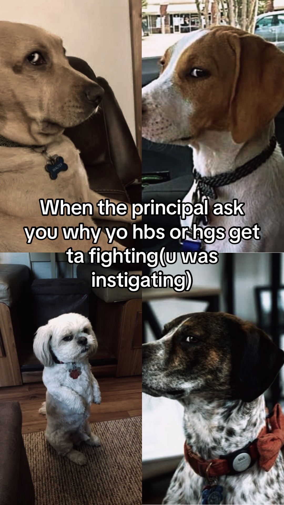 @spideycrew0