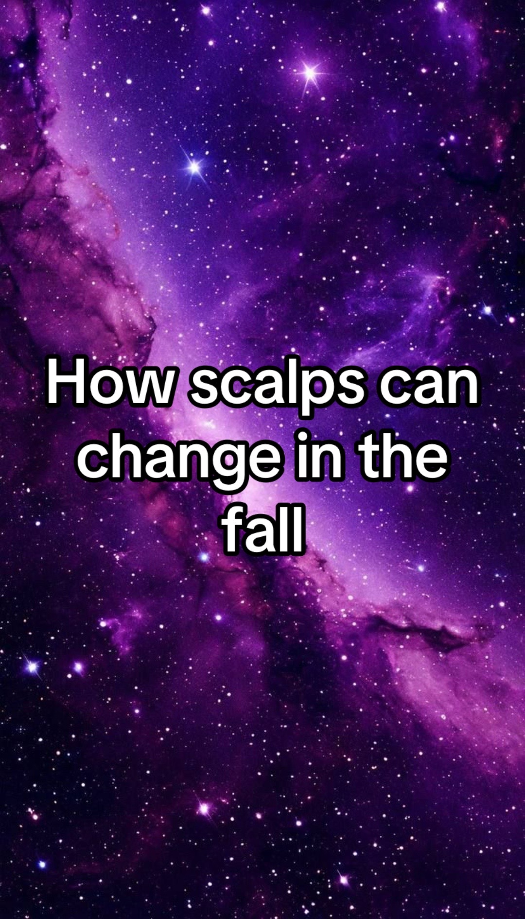 @🌒🌓🌔🌕🌖🌗🌘