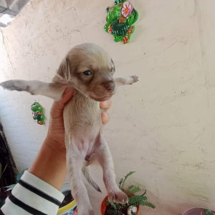 @Tampico