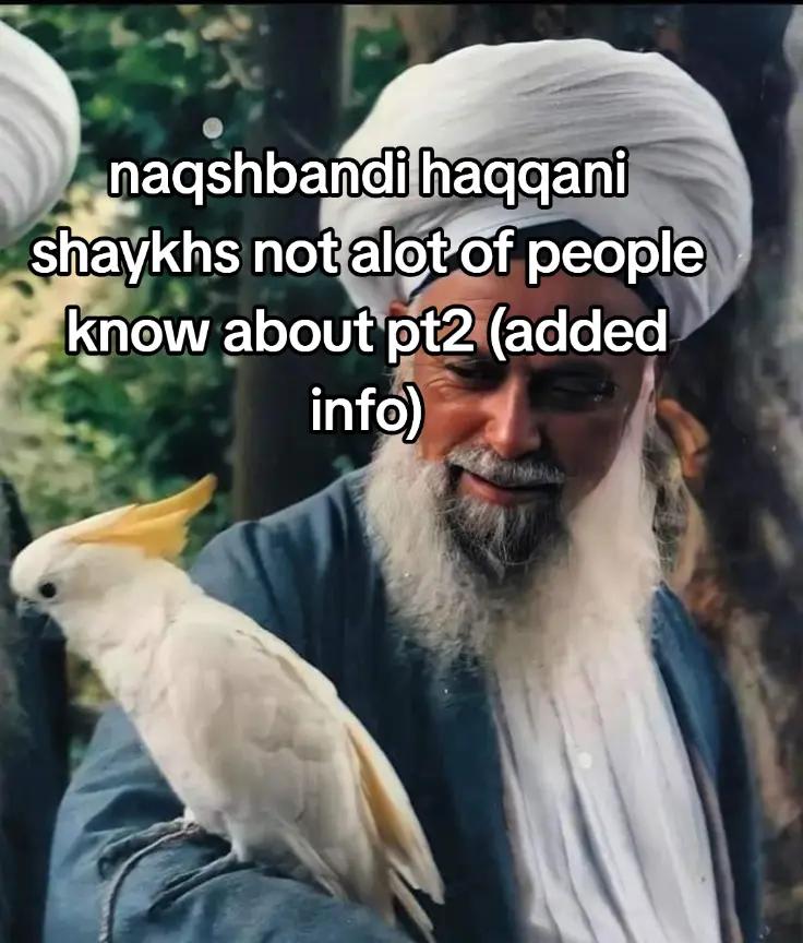 @mureed