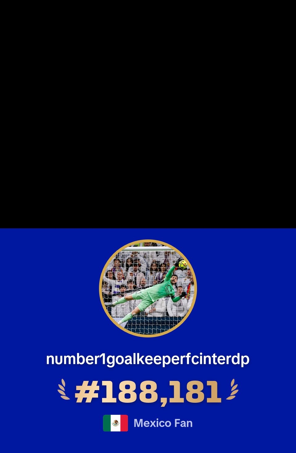 @number1goalkeeperfcinterdp