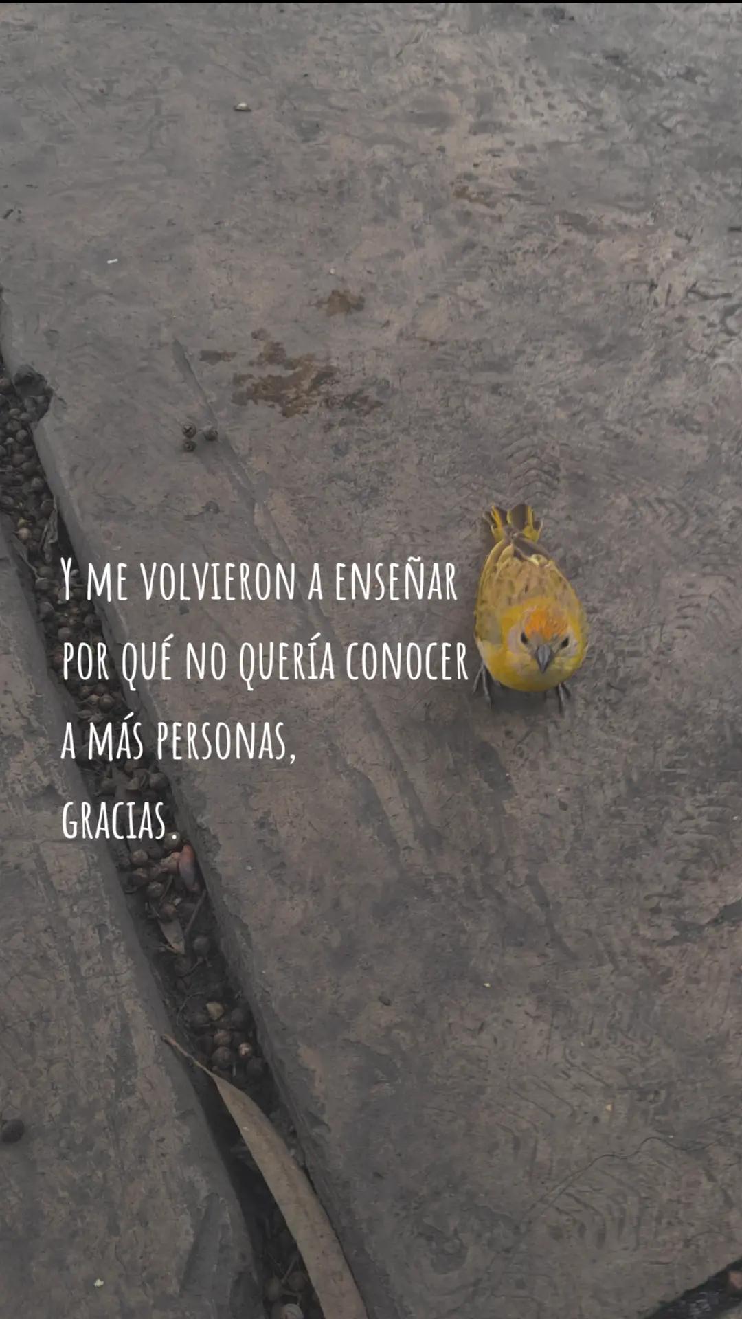 @J. Leon