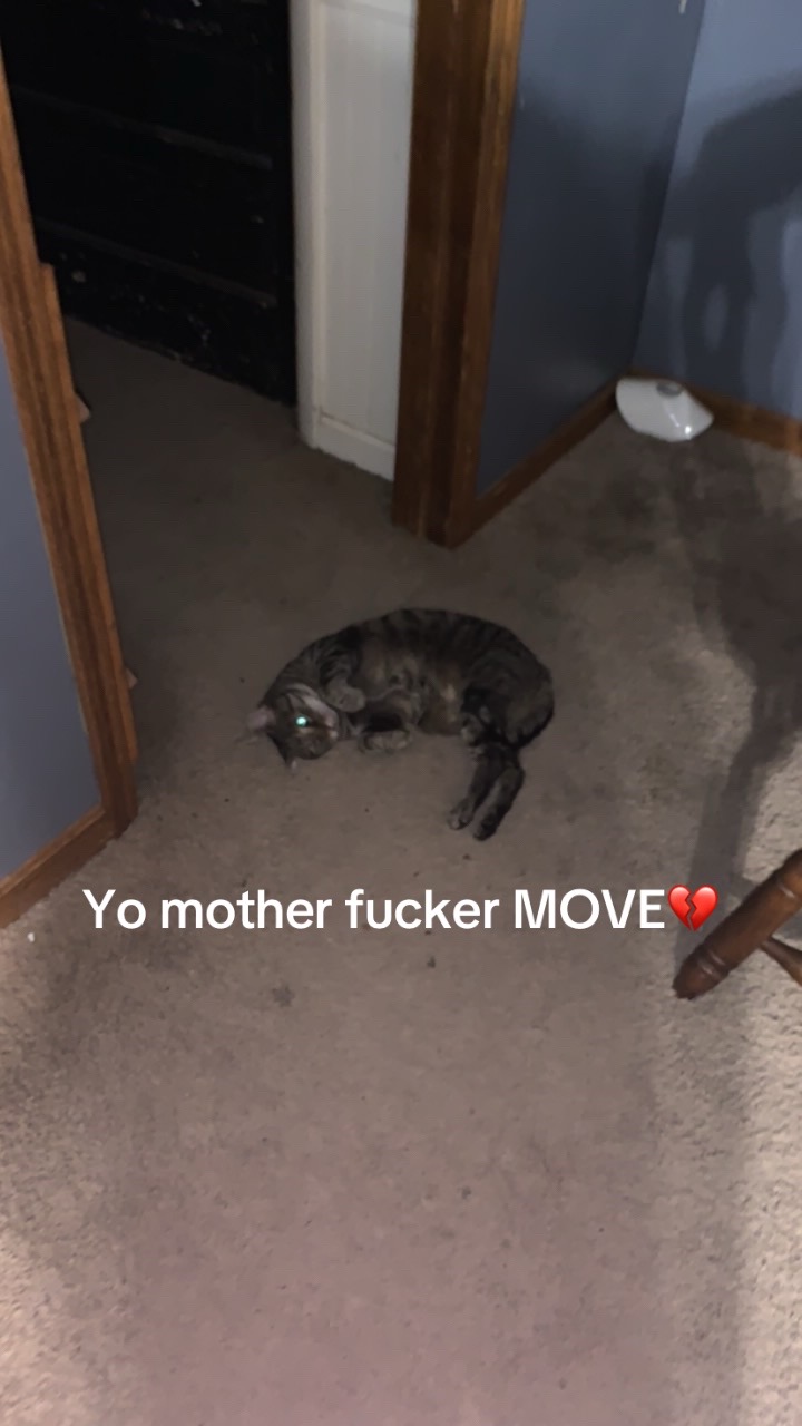 @Carson&rsquo;s Alt
