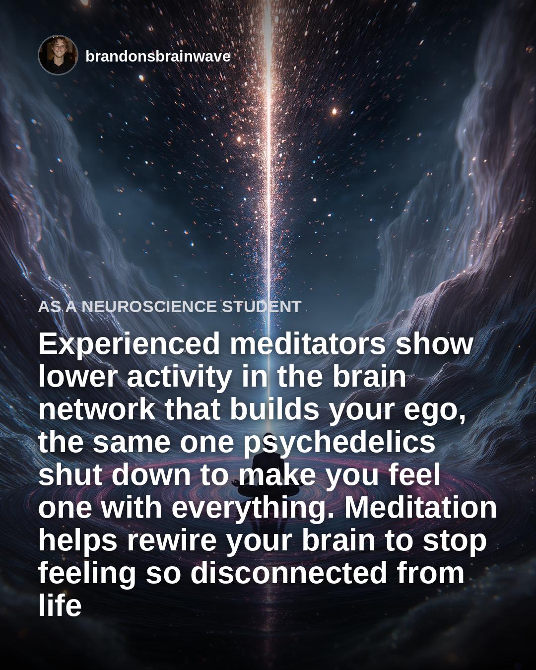 @brandonsbrainwave