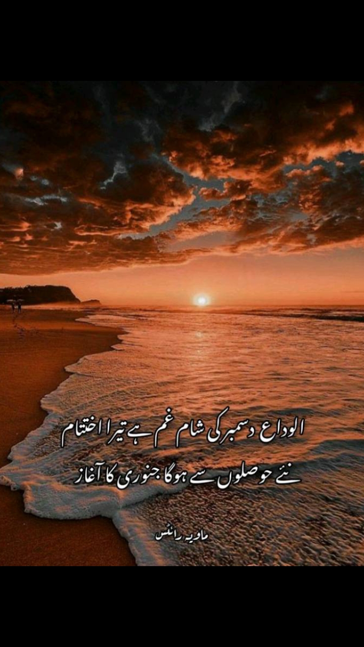 @🌟nawab zadi 💞👑