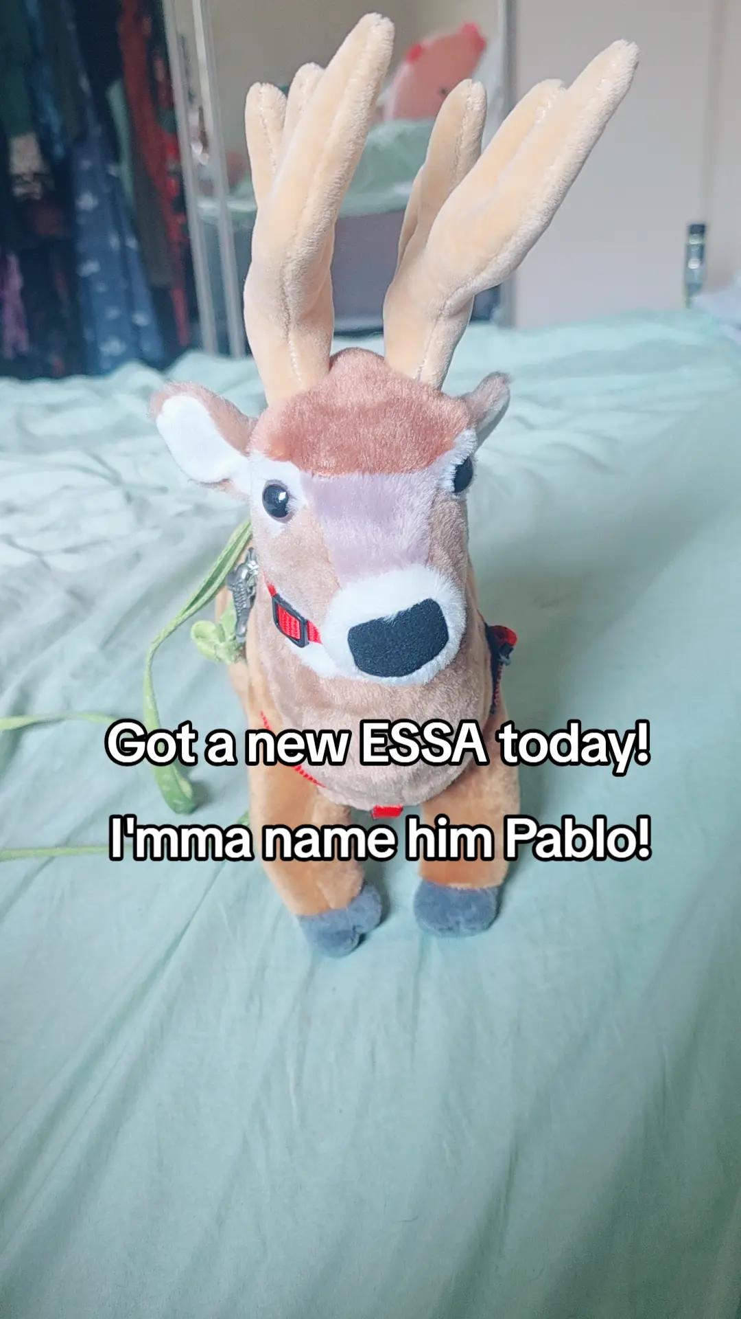 @Maple_the_Deer