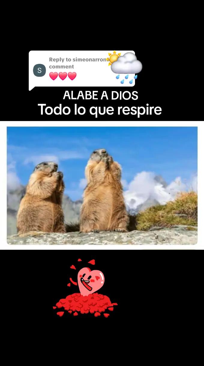 @Mariela ๐