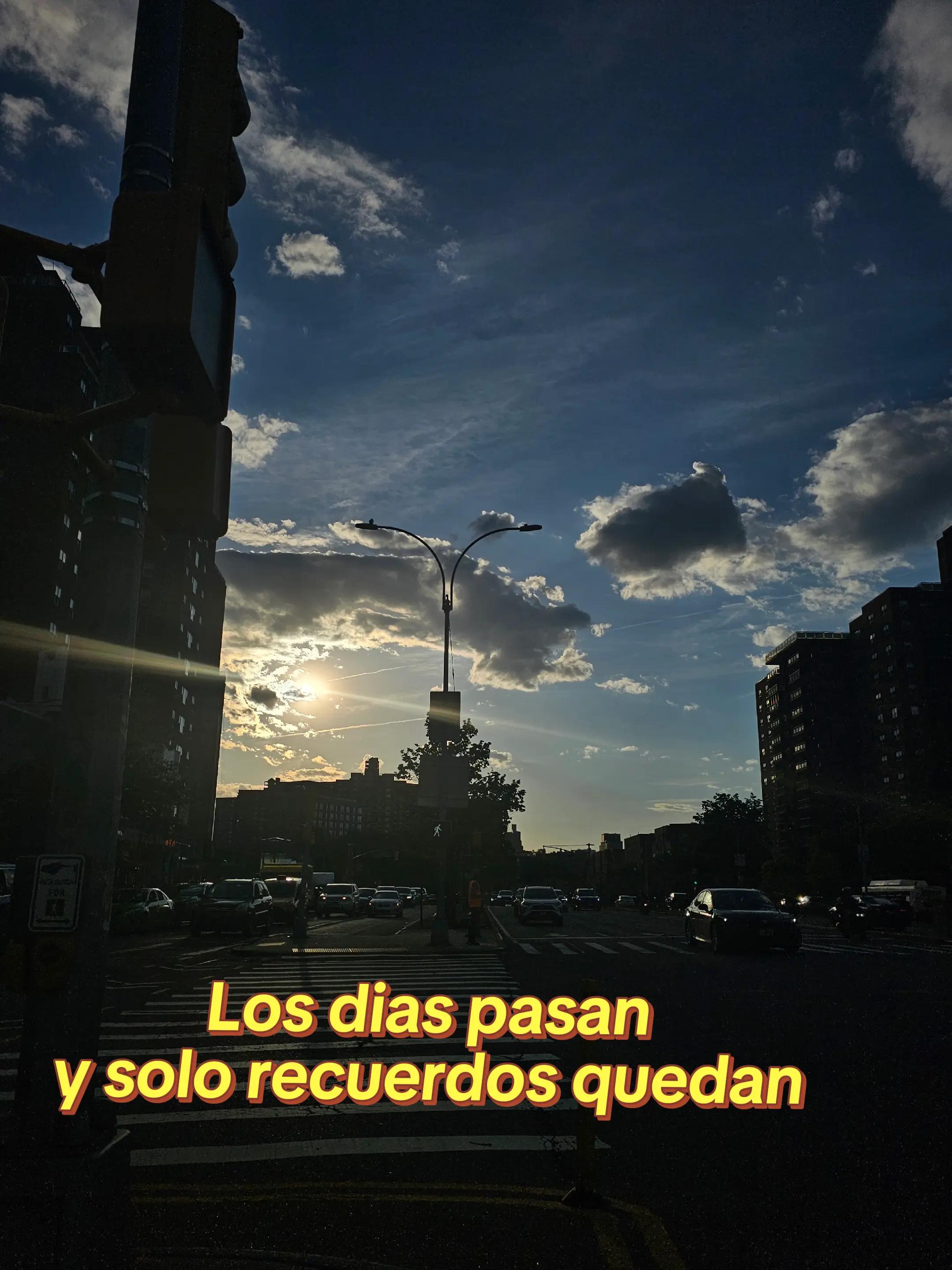 @ingridml35