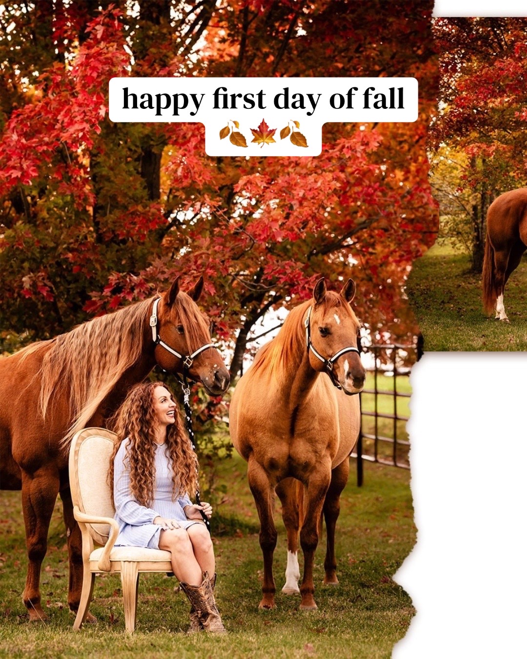 @Tisha 📸🦄 Equestrian Photog