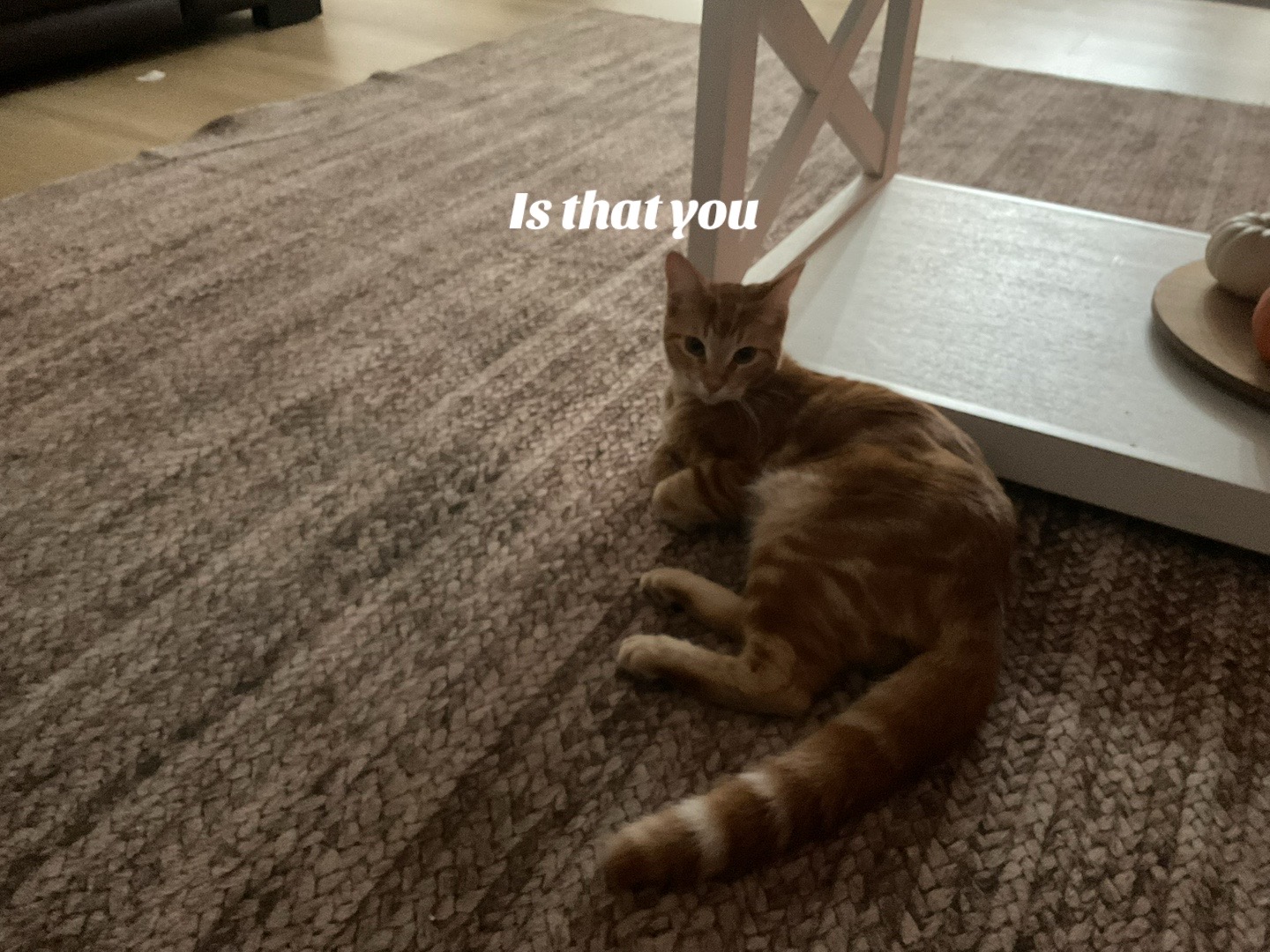 @爱