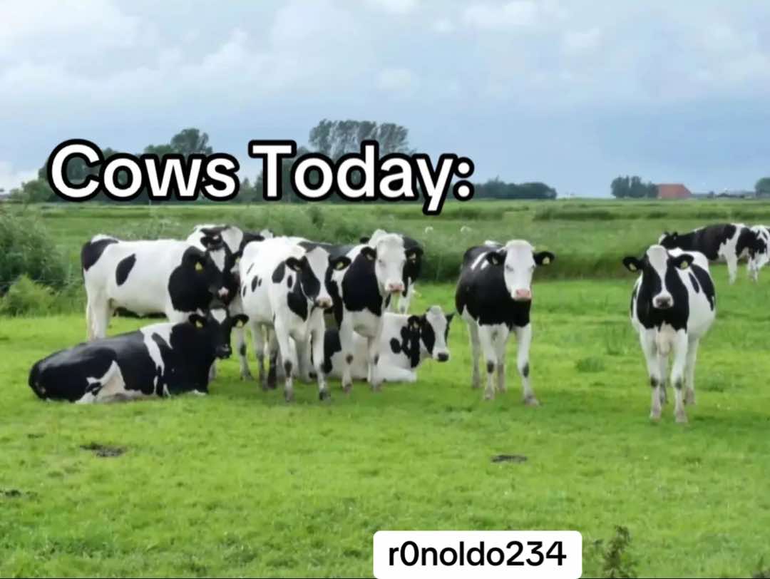 @R0noldo234