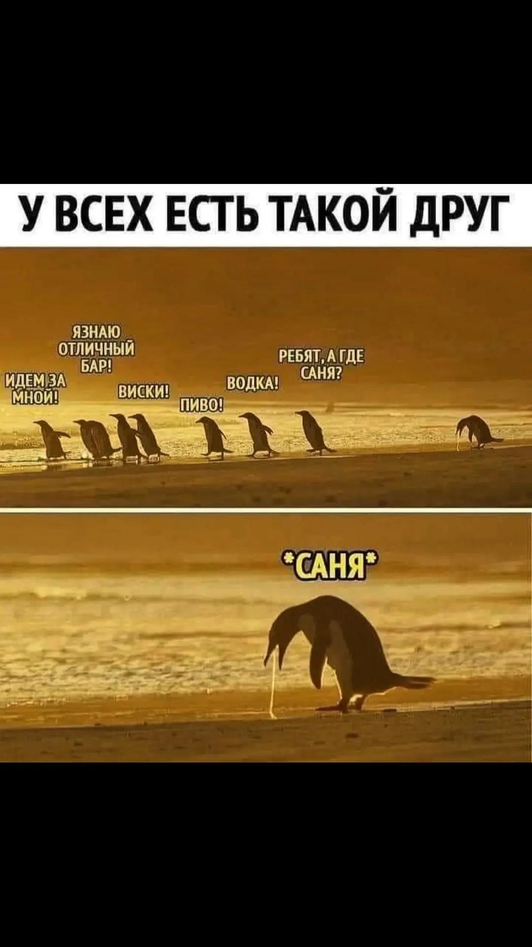 @МЕМ ТО МЕМ official