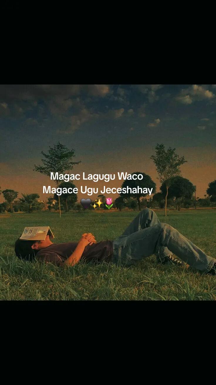 @MoHameTt🇩🇪