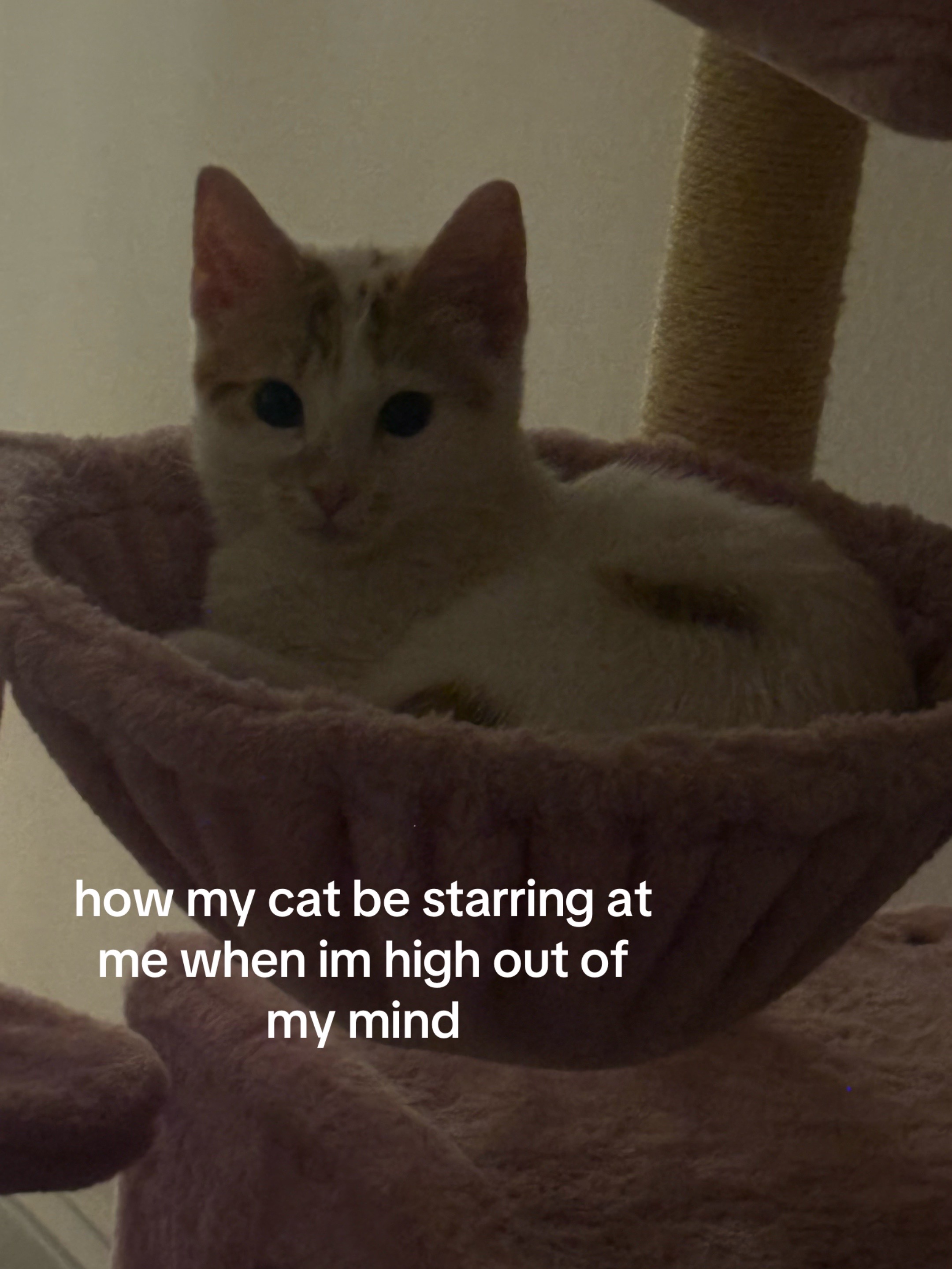 @Walking Intrusive Thought