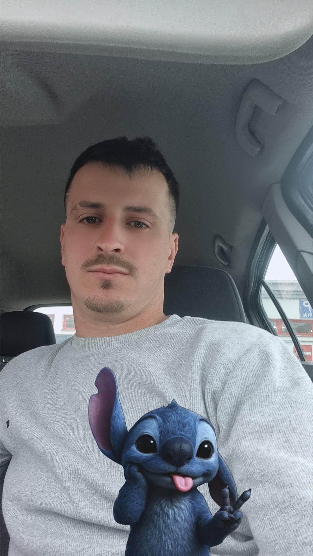 @Ionicã Sulica