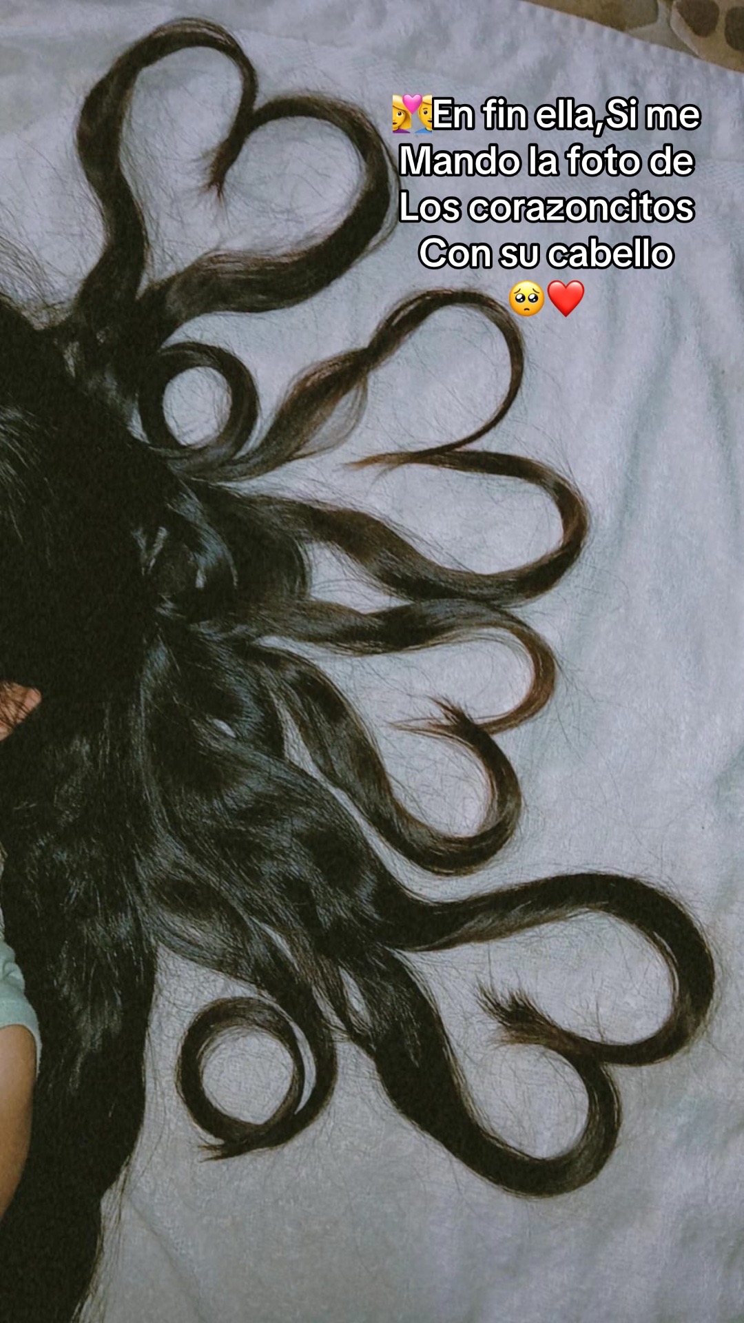 @𝐄𝐥 𝐩𝐨𝐥𝐥𝐨 