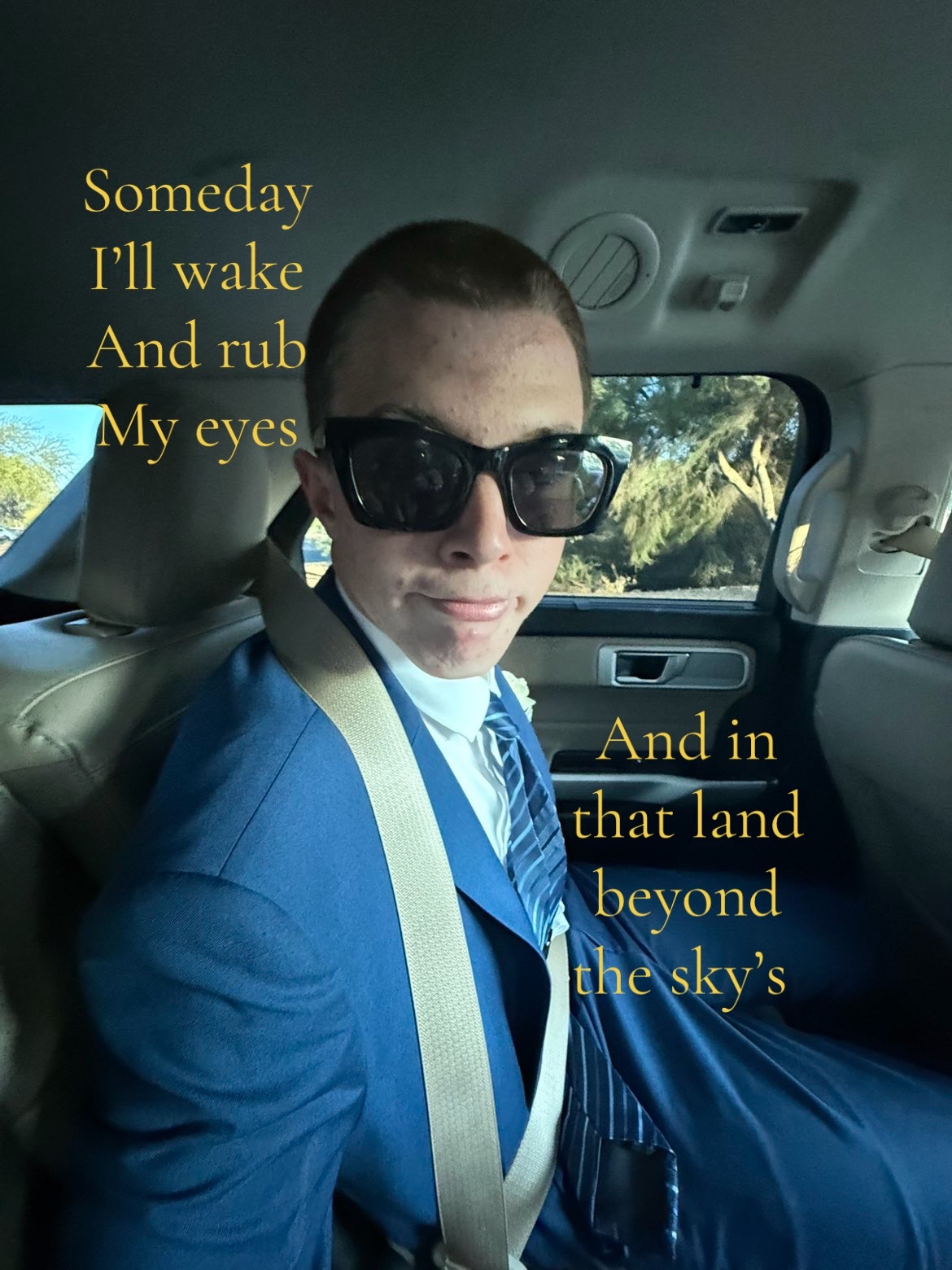 @🕸️