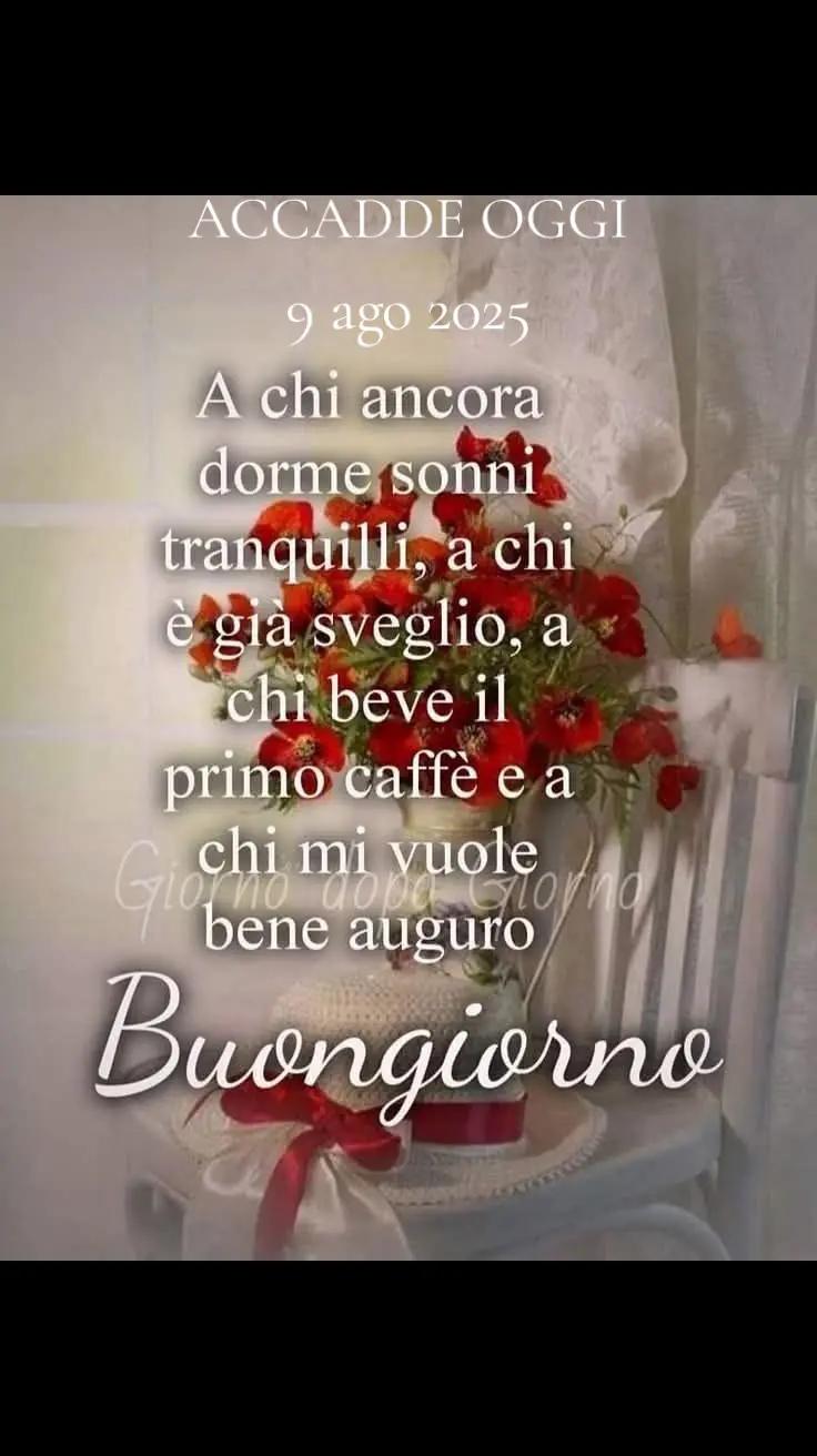 @alessandramarchi726