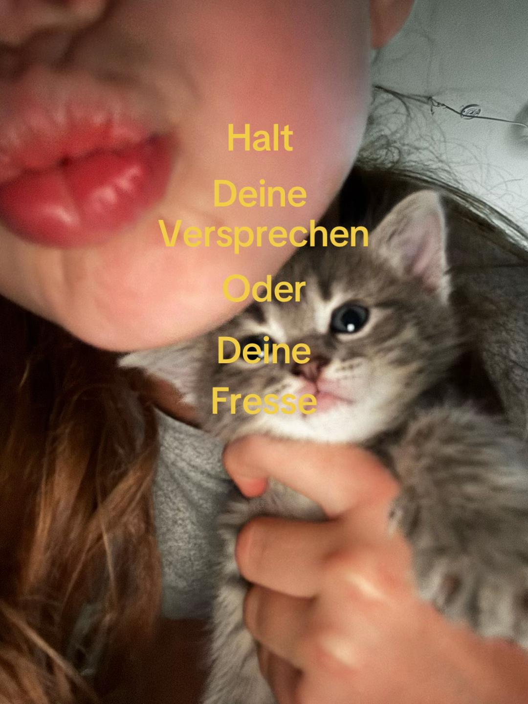 @secret_lilli_