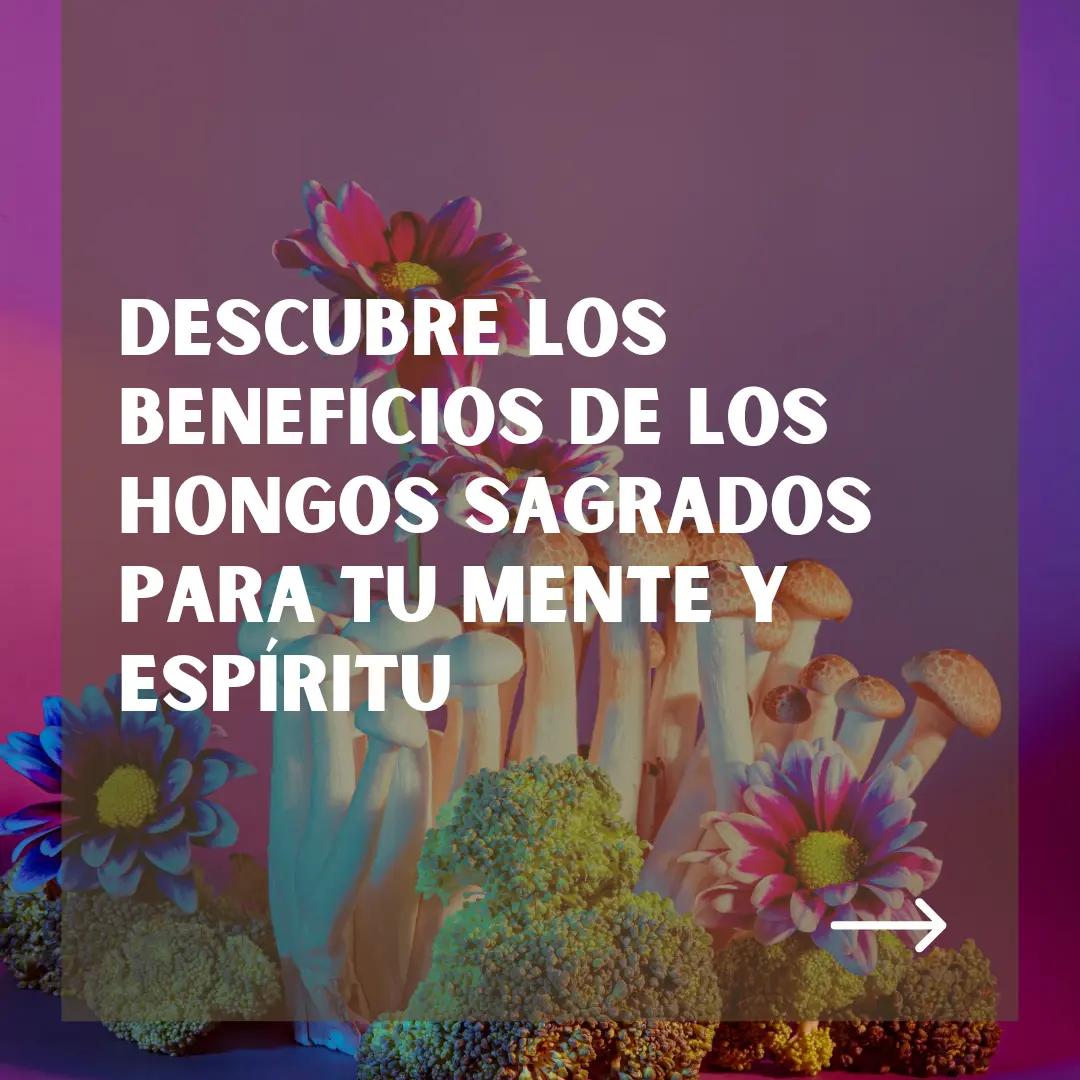 @FungixOfficial🧬🚀