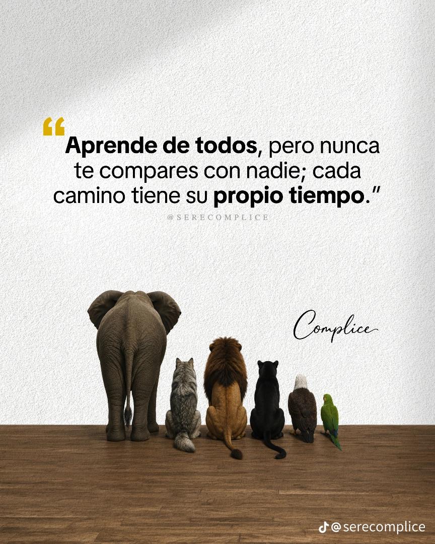 @🐆jaguar el chiapaneco🇲🇽