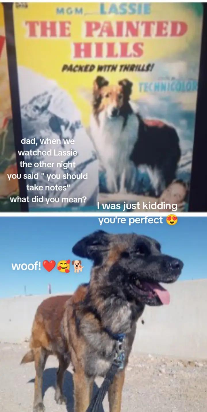 @trucker John