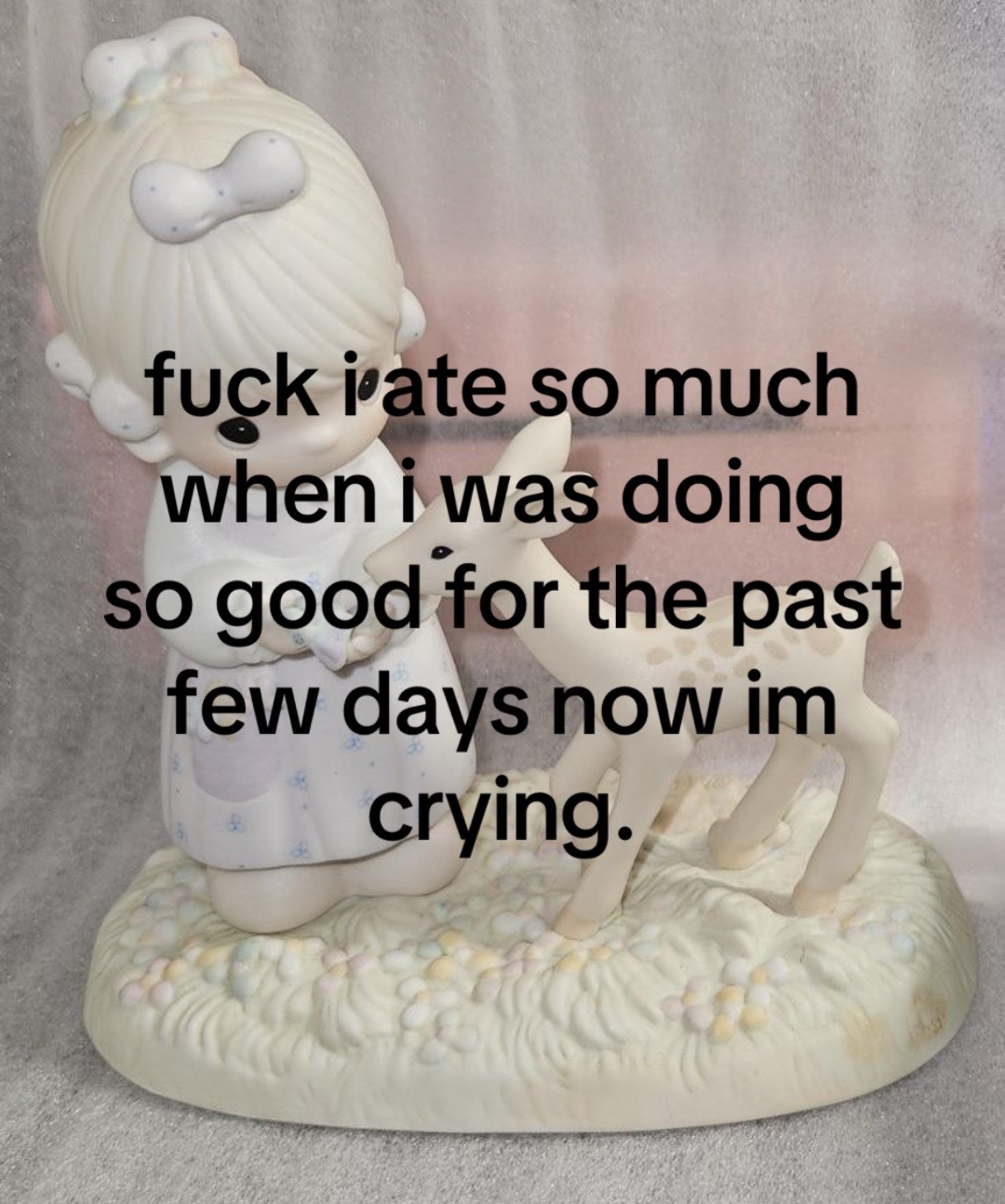 @₍^. .^₎⟆