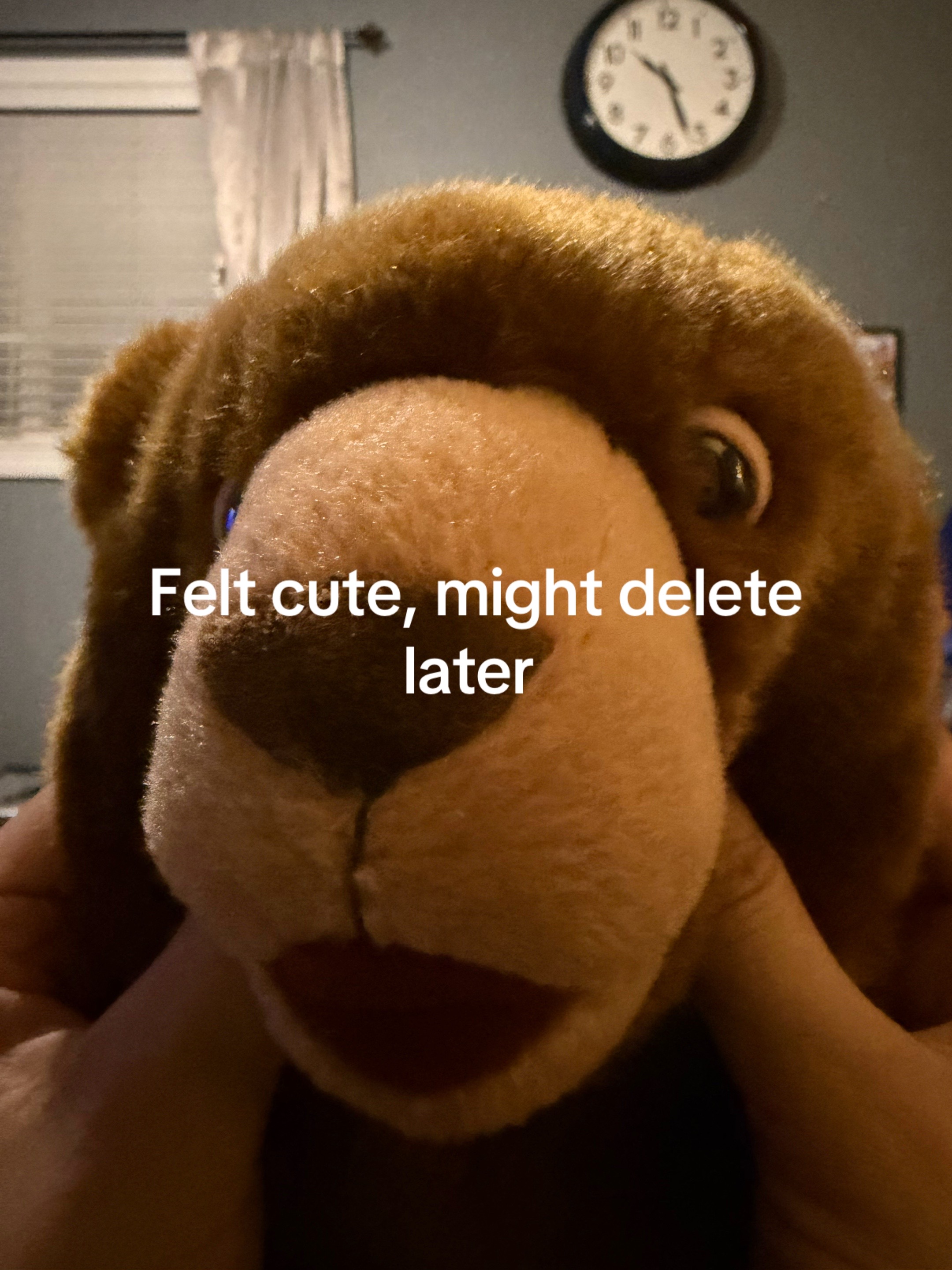 @Pablo