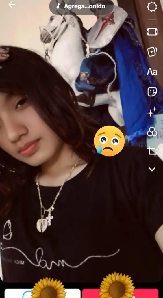 @Rosa Simbaina