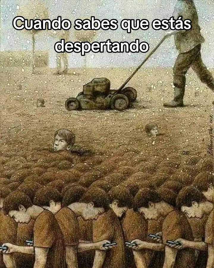 @despierta tu conciencia