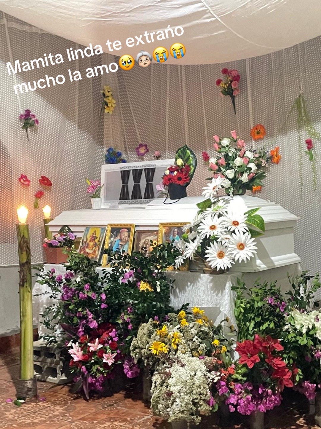 @Nohemy