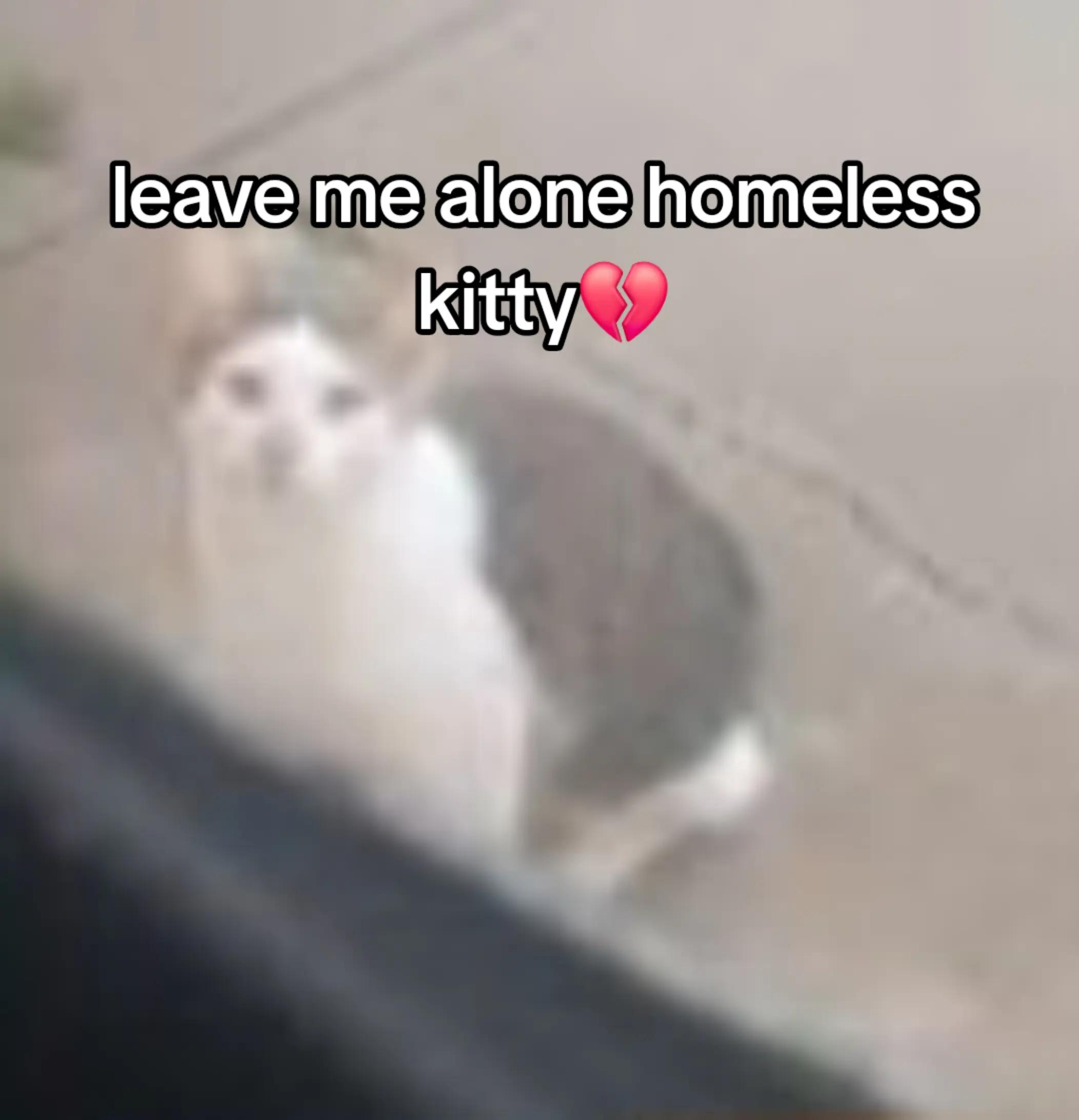 @𝙺𝚛𝚒𝚜 𝚍𝚛𝚎𝚎𝚖𝚞𝚛&bull;⃝⃤★