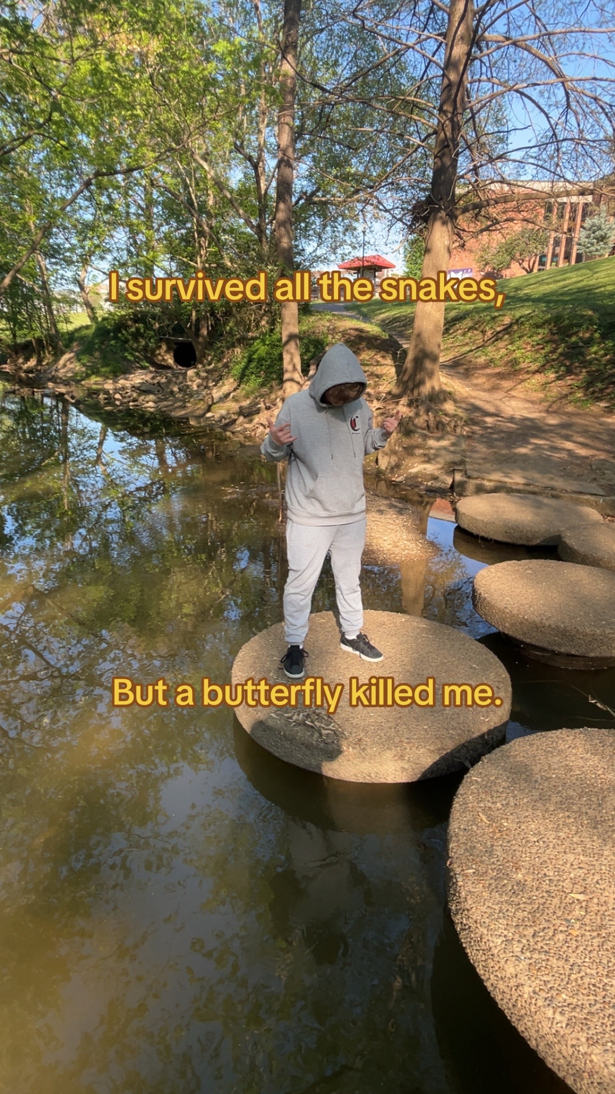 @￴￴