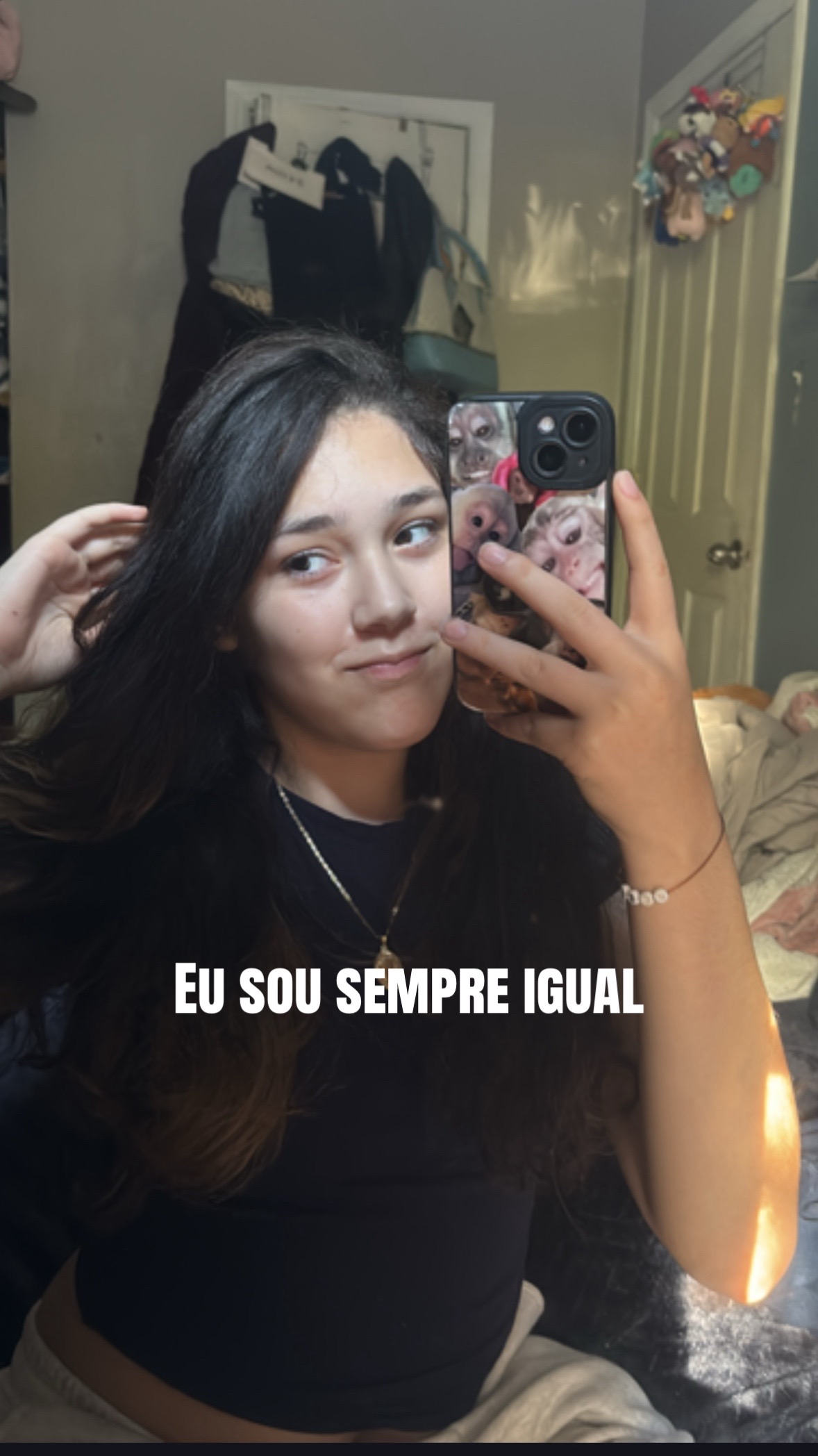 @ibitecars