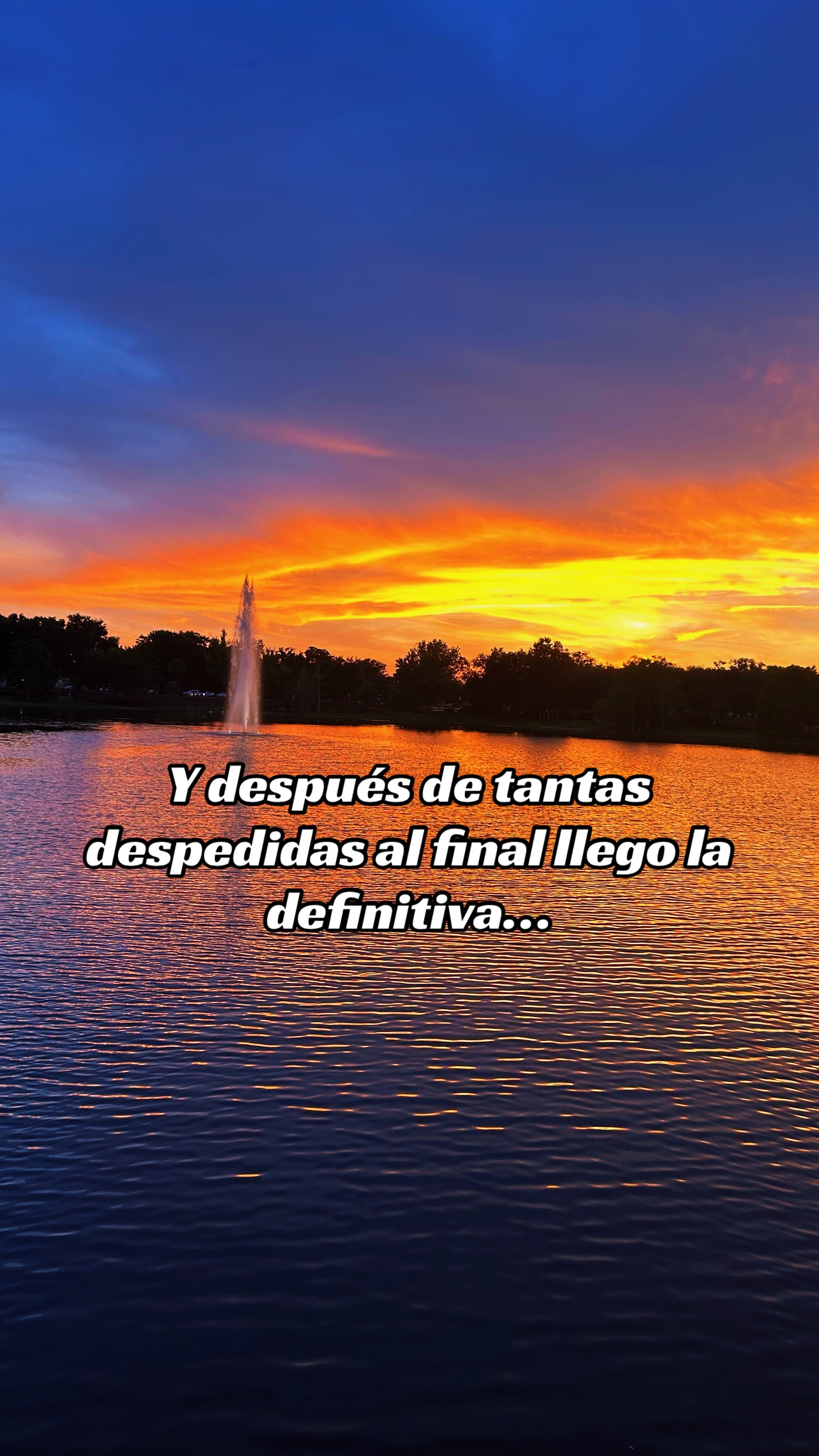 @🦋Bbcita🌻🇺🇸🌙